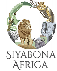 http://limpopo.hotelguide.co.za