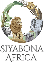 http://limpopo.hotelguide.co.za