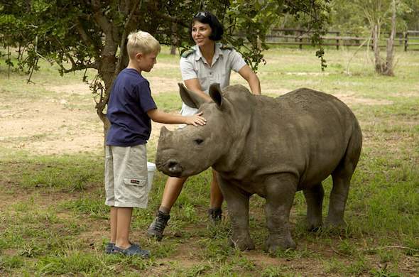 Hoedspruit Endangered Species Centre.